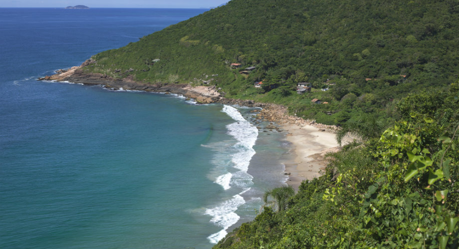 Descubra quais são as melhores trilhas em Florianópolis, a ilha cheia de belezas em Santa Catarina que é um verdadeiro paraíso para os amantes de aventura!