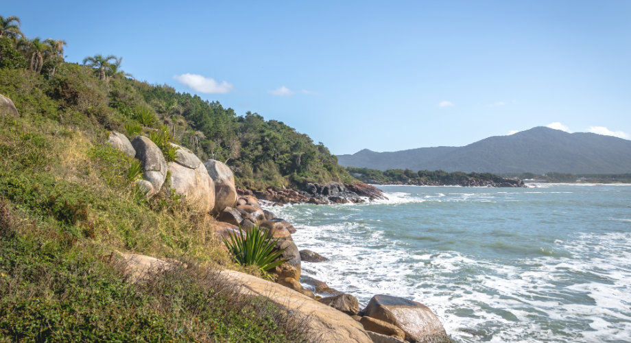 Descubra quais são as melhores trilhas em Florianópolis, a ilha cheia de belezas em Santa Catarina que é um verdadeiro paraíso para os amantes de aventura! 