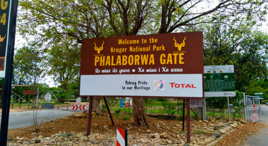 Como parte final do nosso percurso pela Rota Panorâmica, pernoitamos na cidade de Phalaborwa, que fica do lado do Kruger Park e do portão de acesso homônimo. Portanto nosso primeiro dia de safári começou na manhã seguinte desta pernoite.